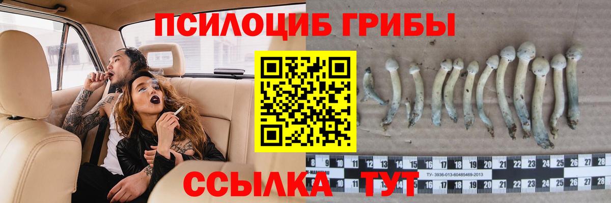 Воронеж  Галлюциногенные грибы Cubensis  Вход с VPN  как найти   Псилоцибиновые грибы GOLDEN TEACHER 