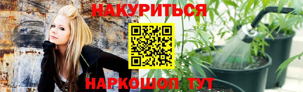 Шишки марихуана AK-47 Воронеж